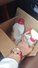 CHANTECLAIR大公雞管家 馬賽洗衣液 液態(tài)洗衣皂(經(jīng)典香)  1500ml 意大利進(jìn)口 曬單實(shí)拍圖
