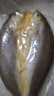 黃小漁寧德黃魚(yú)鲞400g/2條 三去大黃魚(yú)黃花魚(yú)生鮮 海鮮水產(chǎn)燒烤魚(yú)類(lèi)中秋 曬單實(shí)拍圖