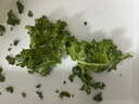 新鮮羽衣甘藍(lán)時令西餐沙拉榨汁果汁健康輕食農(nóng)家甘藍(lán) 【壽光直發(fā)】凈重2斤 曬單實(shí)拍圖