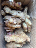 產(chǎn)地直發(fā)云南小黃姜新鮮生姜黃姜調味料新鮮蔬菜生鮮 3斤 裝 曬單實(shí)拍圖