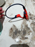 韶音（SHOKZ）OpenSwim Pro S710 骨傳導藍牙耳機 開(kāi)放式運動(dòng)游泳跑步騎行不入耳 珊瑚海 曬單實(shí)拍圖