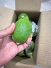 果園直發(fā)】正宗無(wú)籽廣東香水檸檬一級果【夏果】鴨屎香奶茶店專(zhuān)用 優(yōu)選一級果5斤【65克起】 曬單實(shí)拍圖