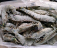 良滿鮮福建漳州活凍大號(hào)黑虎蝦 無(wú)冰凈重2斤30-40只/盒海鮮大蝦中秋送禮 曬單實(shí)拍圖