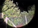 悠馳頭燈強光超長(cháng)續航戶(hù)外照明燈小型便攜式露營(yíng)燈超亮趕海夜釣充電燈 旗艦PRO-激光遠射+伸縮變焦 曬單實(shí)拍圖