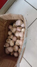 志褚獨(dú)頭蒜大蒜頭 2024云南大理紫皮獨(dú)蒜 精品新鮮現(xiàn)挖濕蒜 3斤裝【大果3.0-3.5cm】 曬單實(shí)拍圖