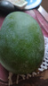 正宗凱特芒果 肉厚甜心芒熱帶當(dāng)季新鮮水果整箱 帶箱2斤單果300g+ 曬單實拍圖