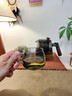茶皇子泡茶壺茶水分離茶杯高硼硅玻璃茶壺茶具個(gè)人杯濾茶綠茶杯茶具套裝 香韻泡茶壺-煙灰色+4只品茗杯 曬單實(shí)拍圖