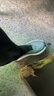京東京造【Air Foam】厚底緩震夏季透氣新款網(wǎng)面一腳蹬休閑鞋男深灰色41 曬單實(shí)拍圖