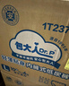 包大人（Dr.P）夜用型成人紙尿褲M60片（腰圍：70cm-110cm）老年人產(chǎn)婦尿不濕 曬單實(shí)拍圖