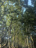 夢(mèng)庭 衣架浸膠防滑大衣架學(xué)生宿舍晾衣架浸塑成人衣掛衣服架10支 白色 曬單實(shí)拍圖