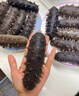 珍品堂 大連冷凍即食海參 遼刺參獨立包裝 新鮮海鮮水產(chǎn) 海參官方旗艦店 【大連高品遼參】2斤24-32 只 / 高端送禮 自用優(yōu)選 曬單實拍圖