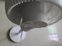 美的（Midea）【暴風(fēng)循環(huán)】空氣循環(huán)扇大風(fēng)量搖頭電風(fēng)扇家用臺(tái)式落地扇輕音臥室節(jié)能小風(fēng)扇柔風(fēng)輕羽扇 FGA24TQ 曬單實(shí)拍圖