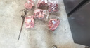 柒島羊排羊肋排羊肉半只羊新鮮中秋羊肉禮盒羊腿肉羊蝎子手把羊肉國(guó)產(chǎn) 半只羊丨中秋禮盒【12斤】（高端送禮）團(tuán)購(gòu) 曬單實(shí)拍圖