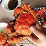 【活蟹】 陽澄姑娘大閘蟹 現(xiàn)貨鮮活特大螃蟹 海鮮水產(chǎn)生鮮禮盒裝 公4.5-4.8兩母3.5-3.8兩10只 曬單實(shí)拍圖