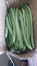 高山四季豆新鮮應(yīng)季蔬菜豆角豆青現(xiàn)摘現(xiàn)發(fā)炒熟食用京東物流 帶箱3斤 曬單實(shí)拍圖