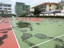 歐百娜懸浮地板室外籃球場(chǎng)地墊戶(hù)外幼兒園學(xué)校羽毛球懸浮式拼裝軟塑地板 XLD-咨詢(xún)享優(yōu)-免費寄樣 曬單實(shí)拍圖