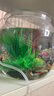 萌嘟星寵 仿真水草魚缸造景套裝水族箱布景裝飾擺件假植塑料假水草 5件套 曬單實拍圖