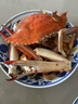 舟山梭子蟹鮮活特大野生大螃蟹新鮮冷凍海鮮水產(chǎn)海蟹飛蟹白蟹順豐 7-9兩/只【5斤凈重 特大肥壯】 曬單實(shí)拍圖