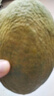 庾豐 海南應(yīng)季新鮮芒果 整箱當(dāng)季現(xiàn)摘孕婦熱帶水果大青 皮芒果 5斤裝【單果約200g+】凈果4.5斤 曬單實拍圖