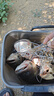 劉志強(qiáng)鰱鳙餌料志強(qiáng)鰱鳙二代魚餌料大頭魚專用浮釣鰱魚花白鰱窩料 曬單實(shí)拍圖