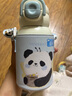 煦凜日本兒童保溫杯1-3-6-12歲吸管水杯幼兒園小學(xué)生上學(xué)男女孩水壺 國寶熊【吸管嘴+直飲嘴】【送斜跨杯套】 520mL 曬單實(shí)拍圖