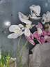 愛(ài)已裝糖 假花仿真花高檔七頭蝴蝶蘭塑料花客廳裝飾花餐桌花干花插花 曬單實(shí)拍圖