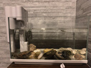 瘋狂水草魚缸過濾器循環(huán)水泵C2三合一循環(huán)過濾增氧系統(tǒng)全套 曬單實拍圖
