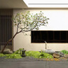 高端彷真楓葉樹(shù)馬醉木室內假樹(shù)綠植造景裝飾大型榕樹(shù)簡(jiǎn)約櫥窗植物 定制尺寸 曬單實(shí)拍圖