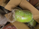 新鮮青茄子軟糯香甜皮薄肉厚新鮮蔬菜生鮮湘菜必備炒菜 青茄子 3斤 曬單實(shí)拍圖
