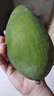 京覓四川凱特芒果新鮮水果凈重4.5斤單果400g+源頭直發(fā)包郵 曬單實(shí)拍圖