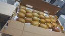 佳沛（zespri）新西蘭  陽(yáng)光金果22粒原箱 單果重144-175g 獼猴桃 中秋水果禮盒 曬單實(shí)拍圖