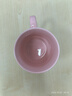本宮好物紫禁城四季馬克杯陶瓷水杯博物館文創(chuàng)杯子結(jié)婚生日禮物教師節(jié) 紫禁尋芳·春曉 340ml 1只 曬單實(shí)拍圖