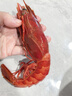 哆鮮生 超大紅魔蝦 遠洋捕撈胭脂魔鬼紅蝦鮮活冷凍生腌刺身級生鮮蝦類(lèi) 特大號 5-6條/盒 300g(凈重) 曬單實(shí)拍圖