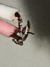 榮事達(dá)（Royalstar）打蛋器電動(dòng)家用奶油打發(fā)器無(wú)線烘焙工具攪拌器小型打蛋神器手持臺(tái)式自動(dòng)打蛋機(jī) 【藍(lán)光大面板】三檔調(diào)速+Type-c閃充 曬單實(shí)拍圖