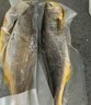 GUO LIAN國聯(lián) 三去黃花魚(yú)2條 共凈重2斤國產(chǎn)寧德東海大黃魚(yú) 海鮮水產(chǎn)生鮮 曬單實(shí)拍圖