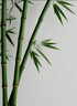 爺爺?shù)霓r(nóng)場香軟胚芽營養(yǎng)低筋粉500g 兒童小麥面粉蛋糕松餅烘焙寶寶食譜 曬單實拍圖