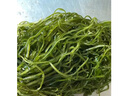 鮮海帶 鹽漬海帶絲 涼拌菜海帶絲食材鮮嫩 新鮮鹽漬海帶絲250g 曬單實拍圖