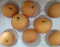 京鮮生 長(cháng)城羊脂秋月梨 正宗特大果 凈重7斤 5-9粒 生鮮水果 中秋禮盒 曬單實(shí)拍圖