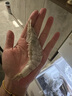 PHUKEY SEA生冷凍南美白對蝦 海鮮水產(chǎn) 凈重3斤 盒裝 （41-50只/KG） 曬單實(shí)拍圖