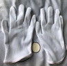 Golmud 防靜電手套 無(wú)塵點(diǎn)塑條紋防滑 電子廠(chǎng)裝機手套 10雙GM602 曬單實(shí)拍圖