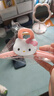 hellokitty粉色抓夾女后腦勺盤(pán)發(fā)鯊魚(yú)夾2025新款發(fā)量多發(fā)夾子頭飾 粉色KT貓抓夾一個(gè) 曬單實(shí)拍圖