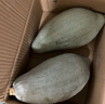 京覓 新疆貴族南瓜 凈重7-8斤 軟糯香甜 單果1000克起 蔬菜源頭直發(fā) 曬單實(shí)拍圖
