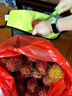 順豐大果1-5斤越南紅毛丹進口當季新鮮荔枝熱帶水果甜毛荔枝整箱 30-50g單果重【泡沫箱+冰袋】 5斤精品推薦裝 曬單實拍圖
