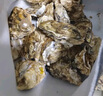 生蠔山東大生蠔鮮活牡蠣肉質(zhì)肥美凈重5斤原產(chǎn)地直發(fā)到家 5斤3XL【約15-19個(gè)】萬(wàn)能版 曬單實(shí)拍圖