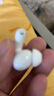 小米（MI）REDMI Buds 6 Pro真無(wú)線(xiàn)降噪耳機 入耳式 適用于安卓蘋(píng)果手機 冰釉白 曬單實(shí)拍圖