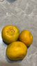 同甘園現(xiàn)貨速發(fā) 云南蜜桔 青皮蜜橘薄皮桔子孕婦水果新鮮酸爽橘子 整9.5-10斤單果約40-50g凈重9斤 曬單實(shí)拍圖