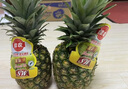 佳農(nóng) 菲律賓進(jìn)口菠蘿 2個(gè)裝 鳳梨 單果凈重2斤 中秋送禮水果 源頭直發(fā) 曬單實(shí)拍圖