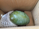 正宗凱特芒果 肉厚甜心芒熱帶當季新鮮水果整箱 帶箱2斤單果300g+ 曬單實(shí)拍圖
