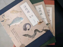 海錯圖筆記三冊套裝 中國國家地理博物君無(wú)窮小亮張辰亮科普讀物 海洋生物圖書(shū)生命自然科學(xué)課外讀物冷知識類(lèi)書(shū)籍生物圖鑒 三冊 曬單實(shí)拍圖