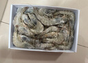 當天海捕鮮活冷凍水產(chǎn)青島大蝦4斤裝白對蝦基圍蝦青蝦鹽凍蝦特大 3.5斤(凈重)  帶冰4斤凈蝦3.5斤 13-15厘米（70-80只） 曬單實(shí)拍圖